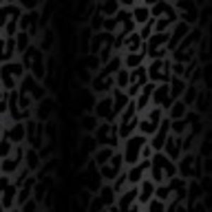 Meet your Posher, Dazmy